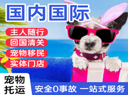 长沙黄花国际宠物托运 【国